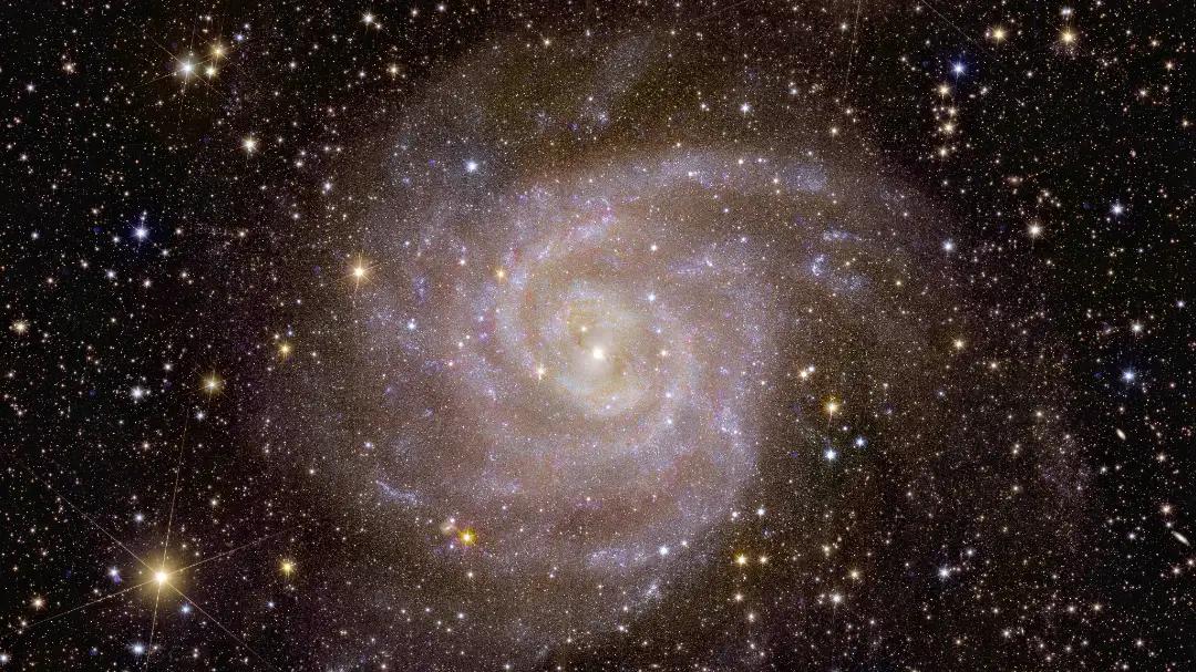 Euclid’s view of spiral galaxy IC 342, nicknamed the “Hidden Galaxy” (Image: ESA/Euclid/Euclid Consortium/NASA, image processing by J.-C. Cuillandre (CEA Paris-Saclay), G. Anselmi, CC BY-SA 3.0 IGO)